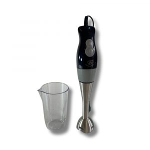 Mixeur plongeant Royal Swiss